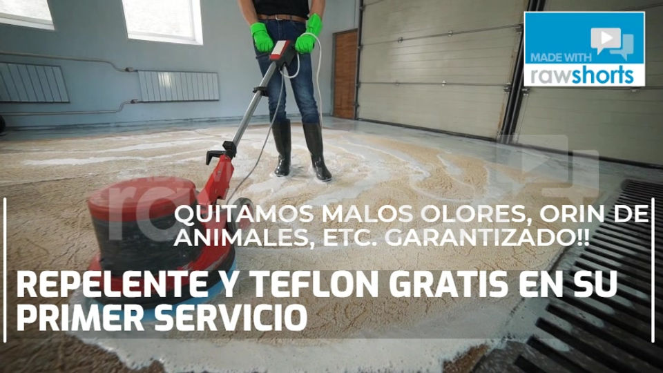 Lavado de alfombras